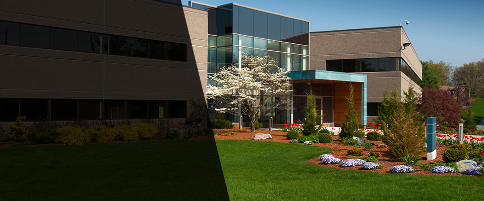 Campton Landscapers