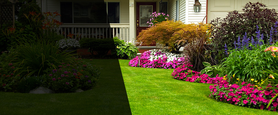 Campton Landscapers
