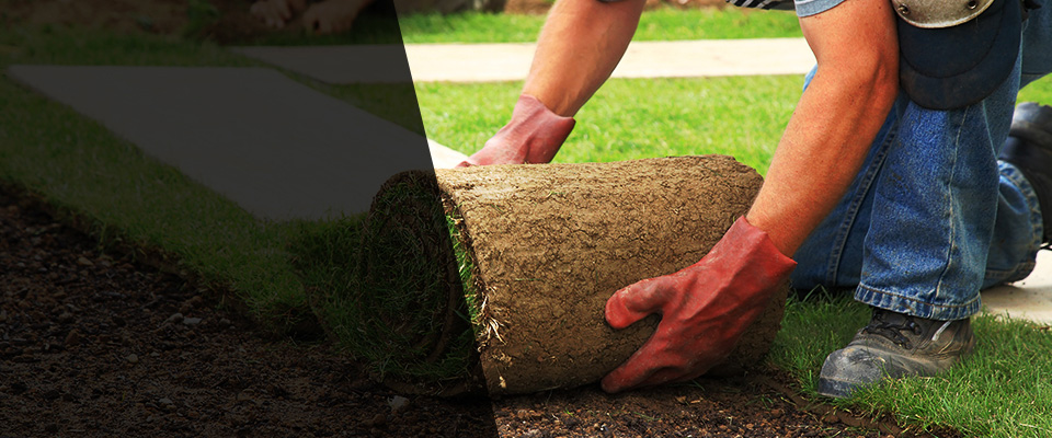 Campton Landscapers